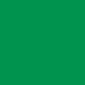 Cricut Smart Iron-On™ (3 ft)- Green