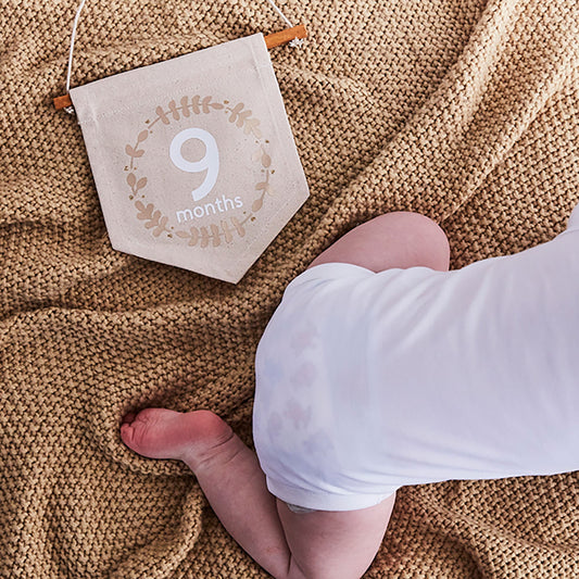 Cricut: How to Make a Baby Milestone Banner