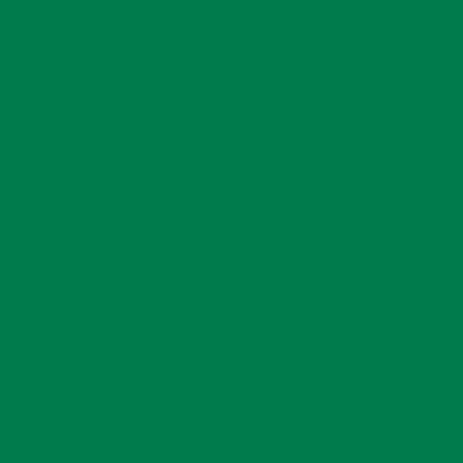 Cricut Premium Vinyl™ – Permanent, Kelly Green